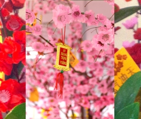 Rực rỡ sắc Xuân 