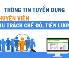 Thông tin tuyển dụng: Chuyên viên phụ trách chế độ, tiền lương